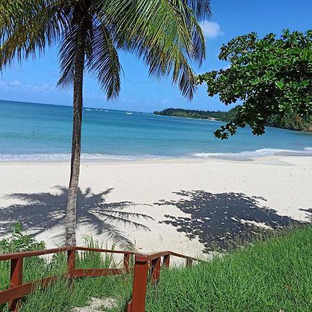 F3 Au Calme Vue Sur Mer 2 Chambres Balcon Terrasse ลา ทรินิเต ภายนอก รูปภาพ